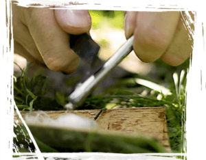 new-bushcraft1