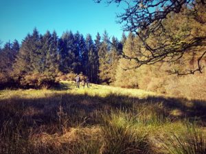 Your Exclusive wild camping site