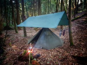 a tent in the forest