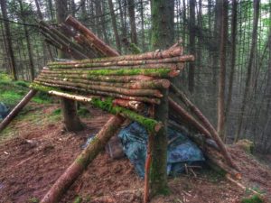 A wood shelter in the woodland