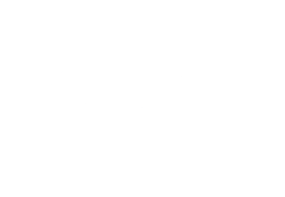 Transparent White Dolphin logo of Blue Ocean Activities