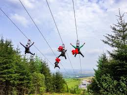 Four people on a zipline